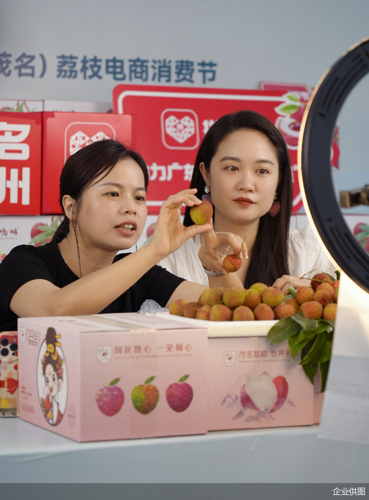 企业供图